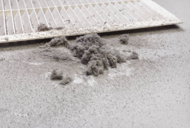 Best HVAC System Cleaning  in Verona, PA