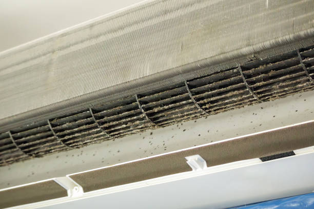 Best HVAC Air Duct Cleaning  in Verona, PA